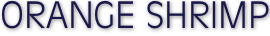 shapeimage_6_link_0